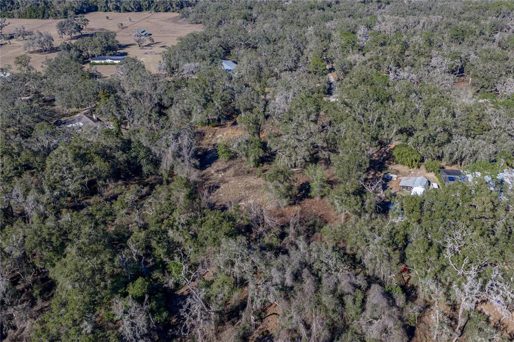 0 Rowntree Drive Dade City, FL 33523 - Photo 7 of 14