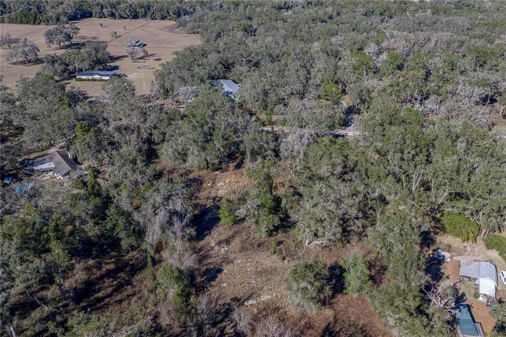 0 Rowntree Drive Dade City, FL 33523 - Photo 8 of 14