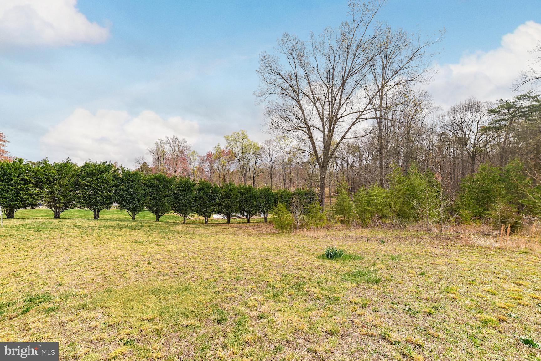 6430 Fire Tower Road Welcome, MD 20693 - Photo 33 of 35 Privacy galore