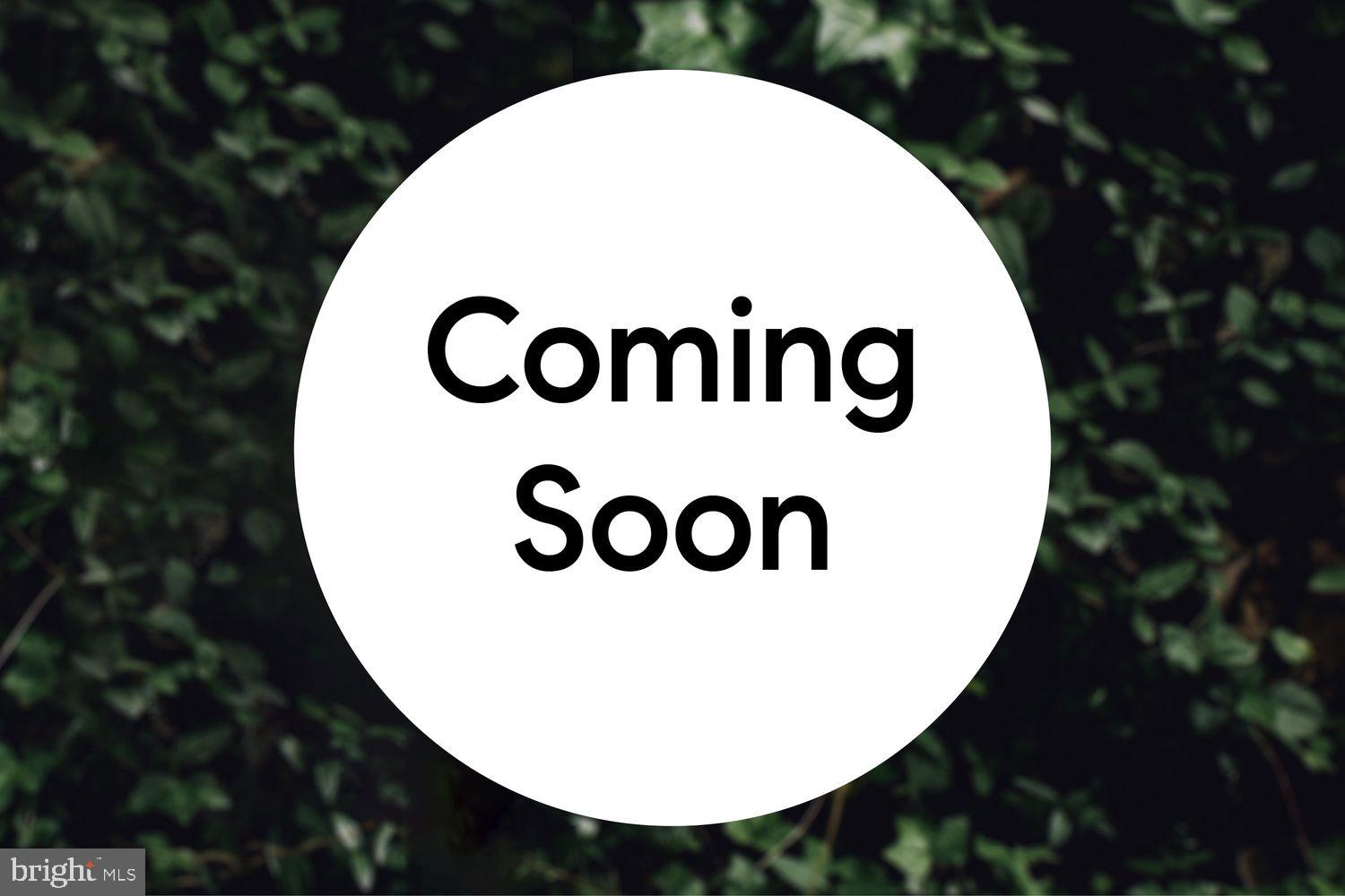 Exciting Updates on the Horizon!