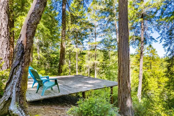 a view of a yard with plants and a bench