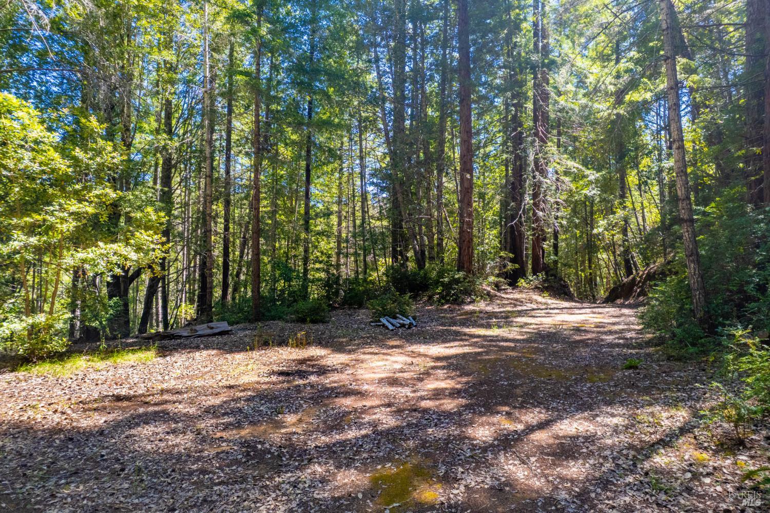 0 16125 Honey Ridge Road Boonville, CA 95415 - Photo 11 of 12