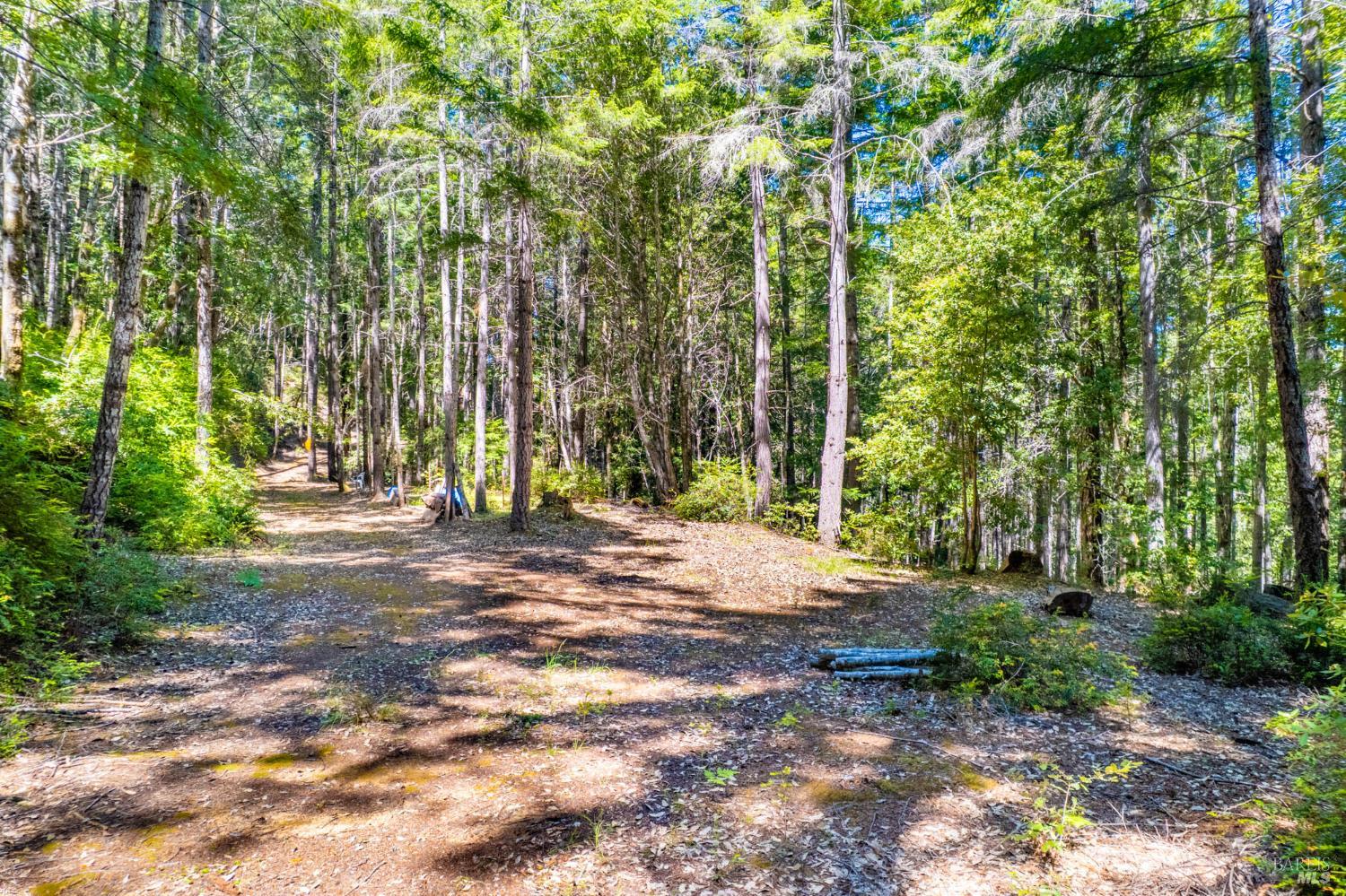 0 16125 Honey Ridge Road Boonville, CA 95415 - Photo 12 of 12