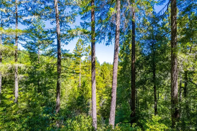 $250,000 | 0 16125 Honey Ridge Road, Boonville, CA 95415