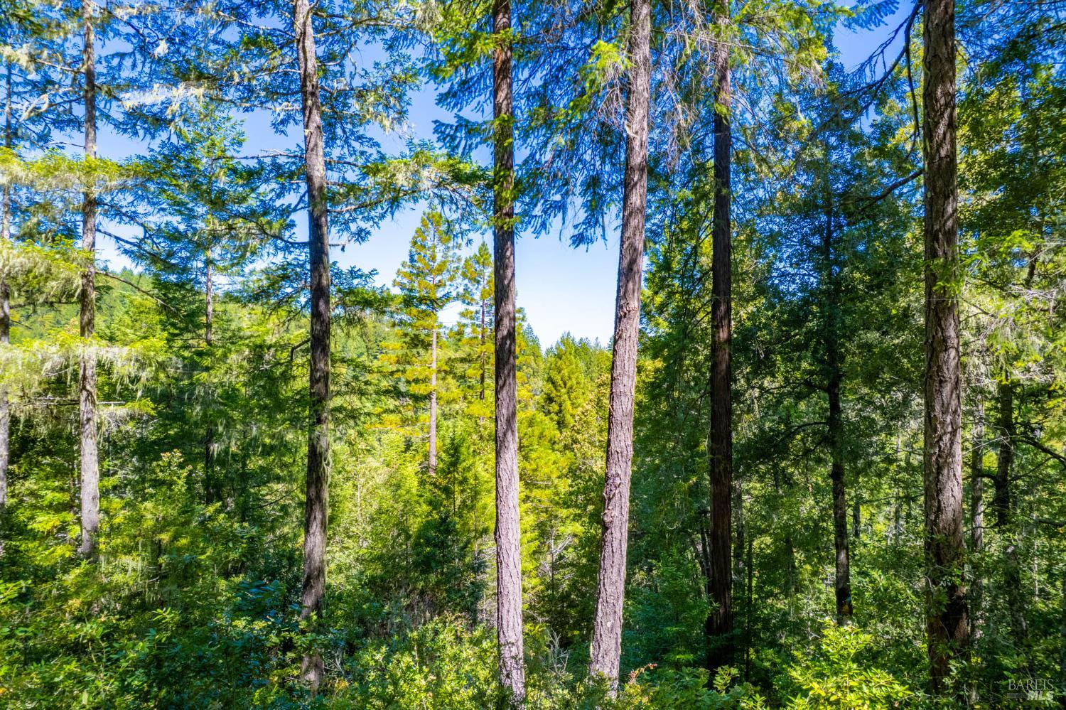 0 16125 Honey Ridge Road Boonville, CA 95415 - Photo 2 of 12