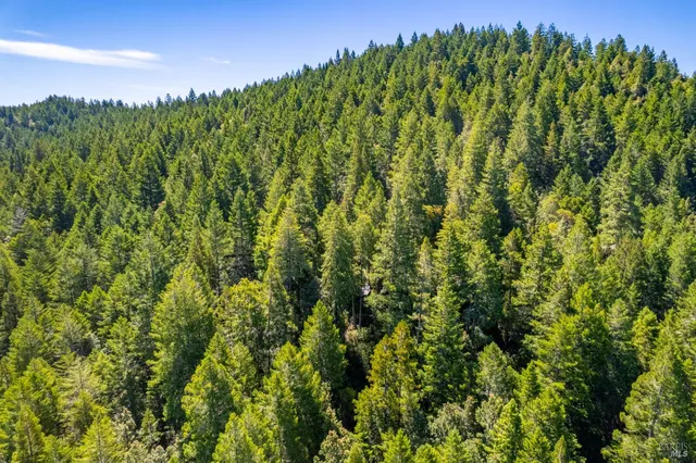 $250,000 | 0 16125 Honey Ridge Road, Boonville, CA 95415