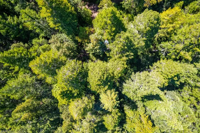 $250,000 | 0 16125 Honey Ridge Road, Boonville, CA 95415