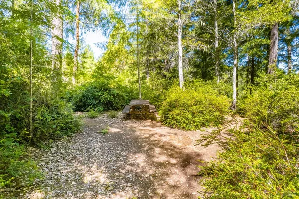 a view of a pathway both side of yard