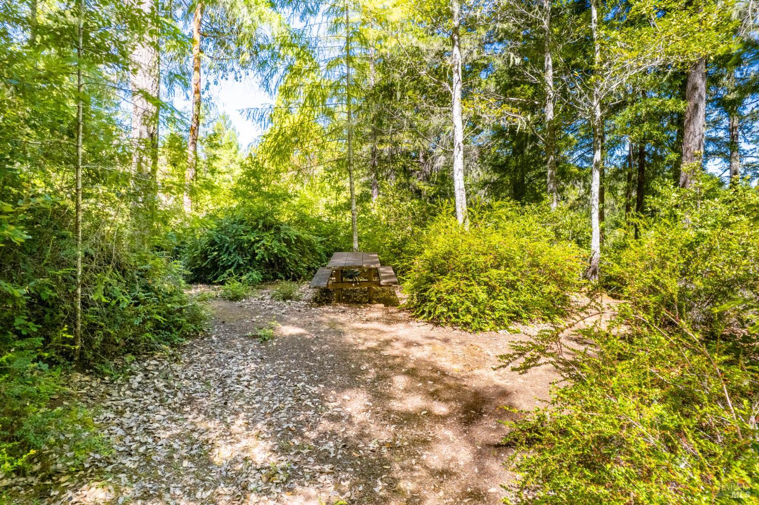 0 16125 Honey Ridge Road Boonville, CA 95415 - Photo 8 of 12