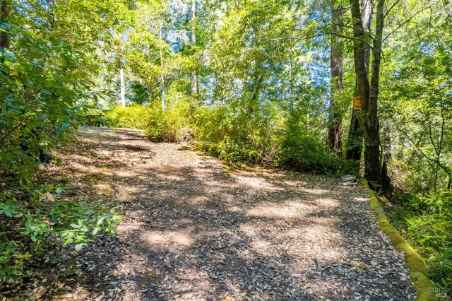 $250,000 | 0 16125 Honey Ridge Road, Boonville, CA 95415