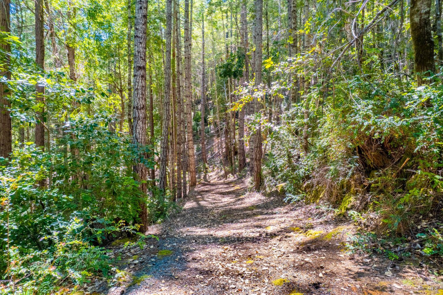 0 16125 Honey Ridge Road Boonville, CA 95415 - Photo 10 of 12