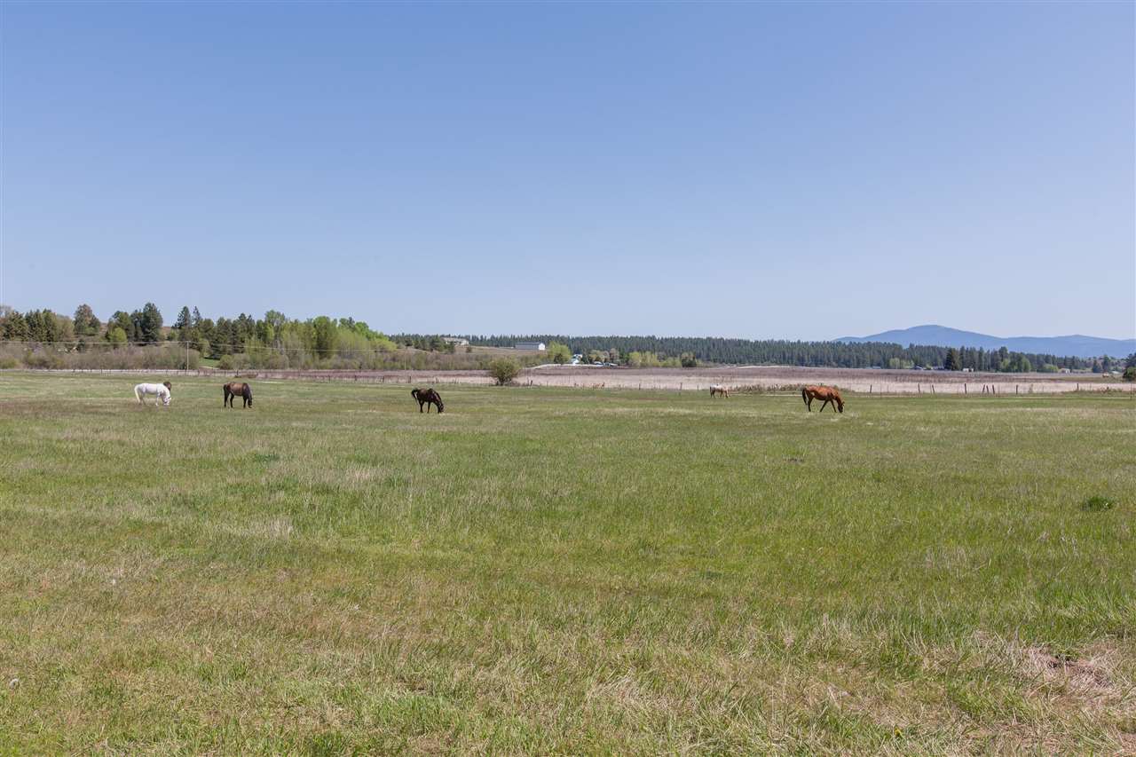 6917 West Staley Road Deer Park, WA 99006 - Photo 20 of 20