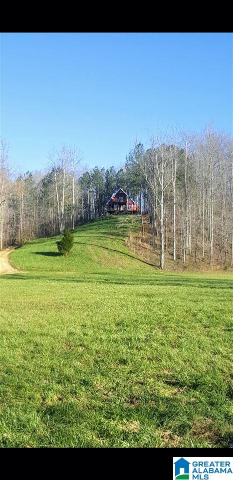573 County Road 436 Fruithurst, AL 36262 - Photo 1 of 45