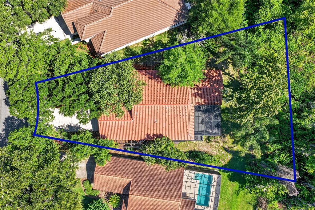39 Forest Lane Eustis, FL 32726 - Photo 2 of 49