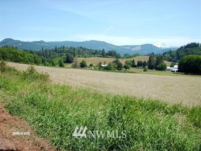 -xxx Ryan Road Mossyrock, WA 98564 - Photo 1 of 1 Gallery Image 1