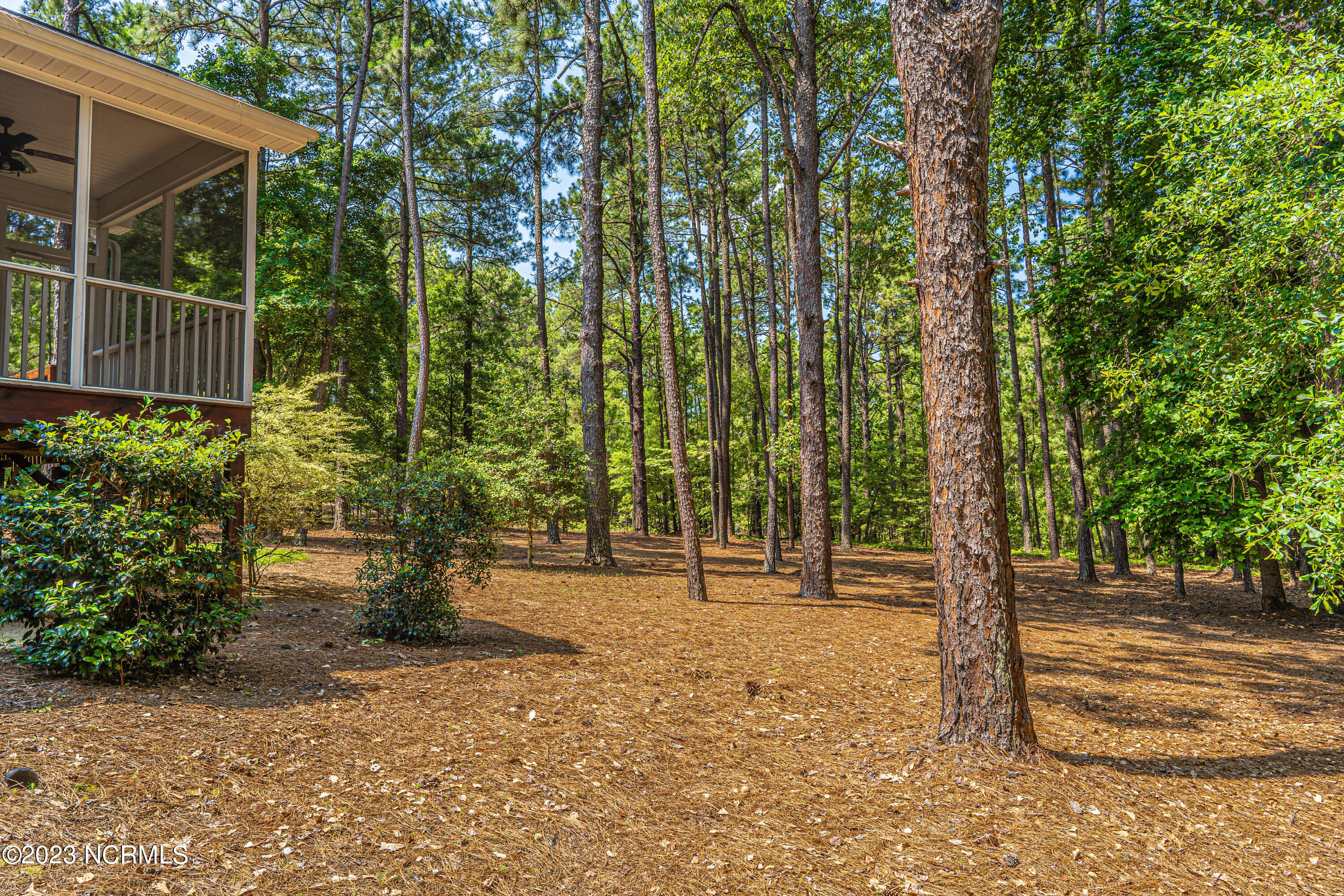 547 Longleaf Drive West End, NC 27376 - Photo 52 of 62 DSC09266