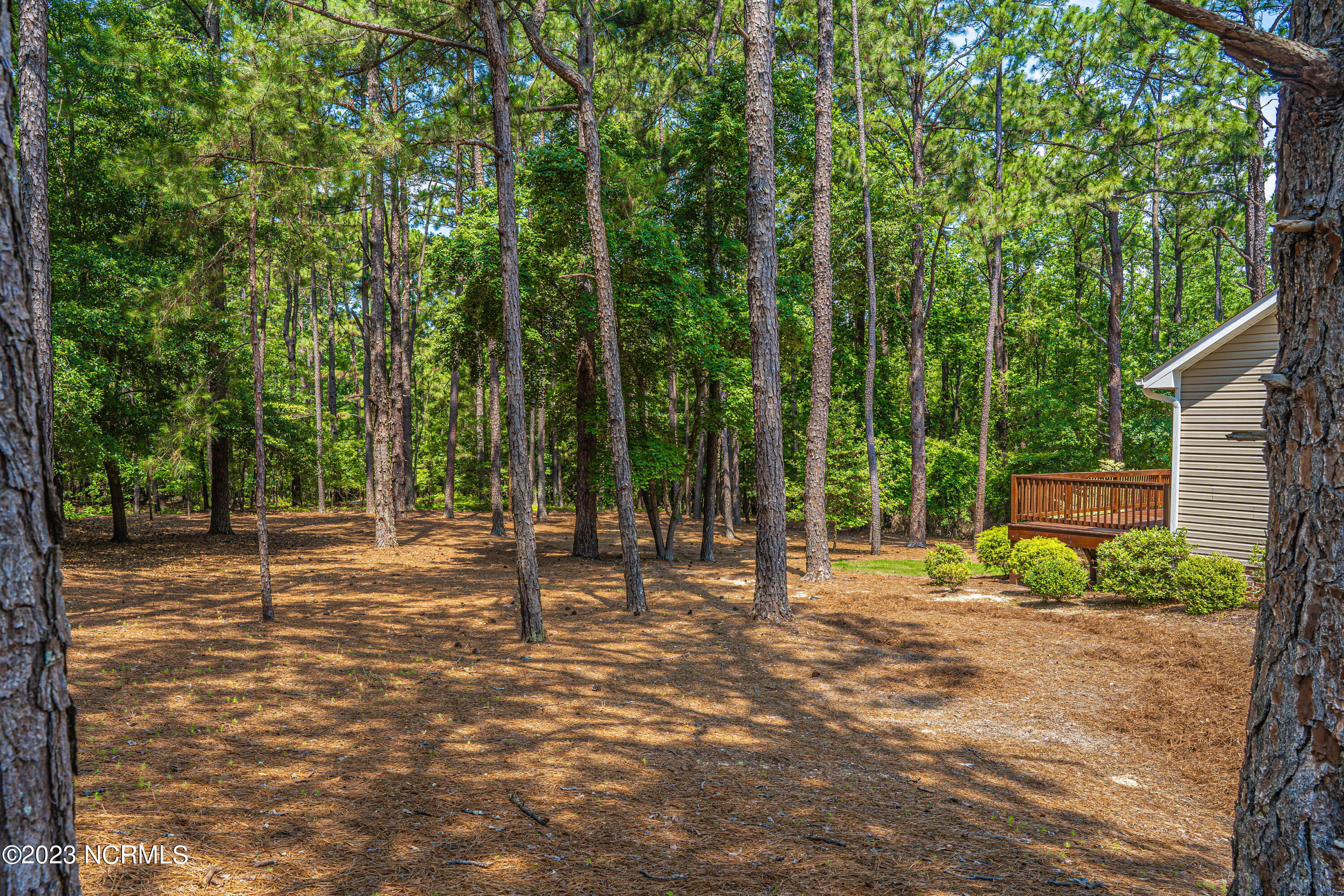 547 Longleaf Drive West End, NC 27376 - Photo 54 of 62 DSC09269