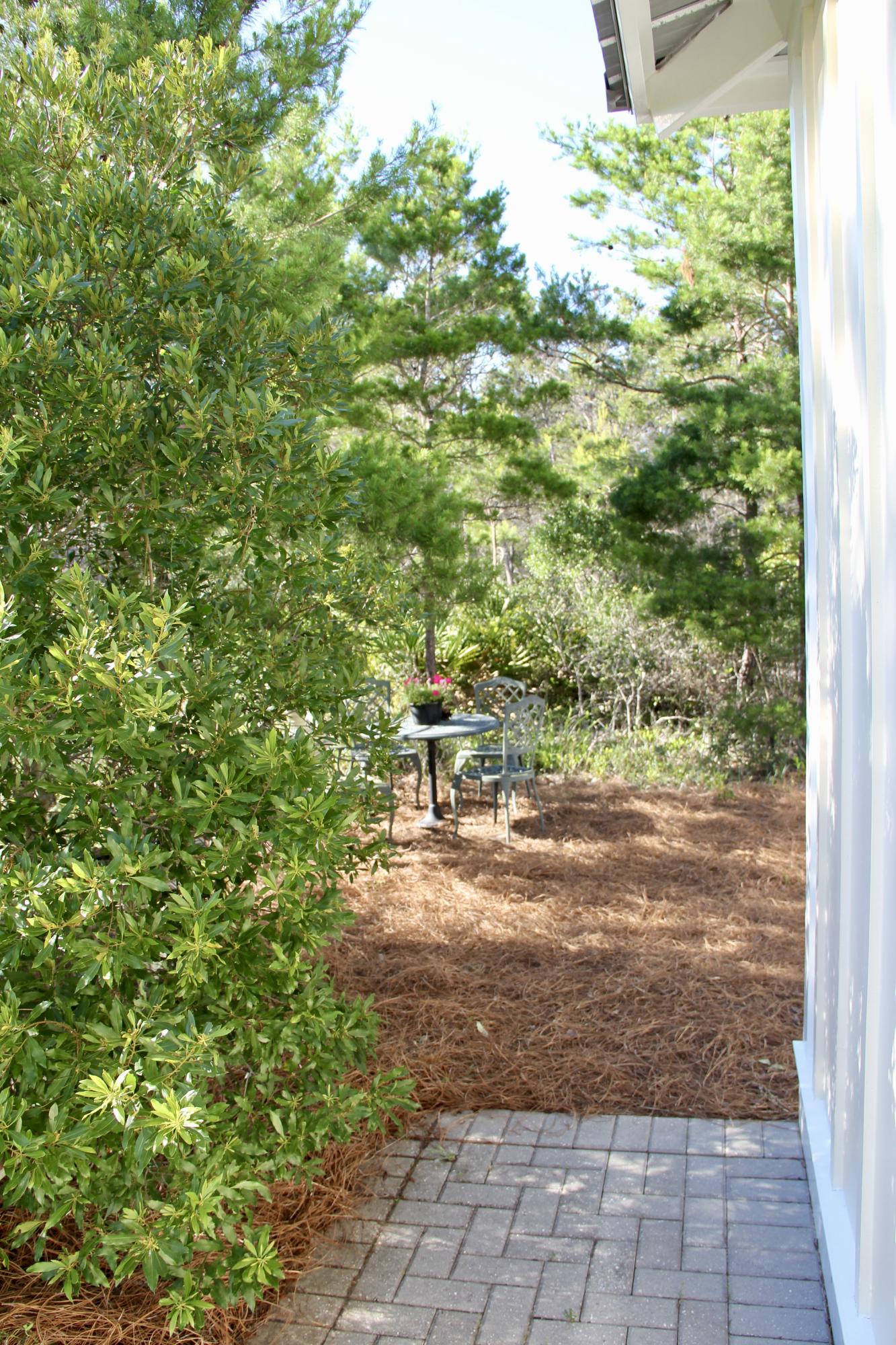 426 Morgans Trail Santa Rosa Beach, FL 32459 - Photo 66 of 85 back yard backs up to state land