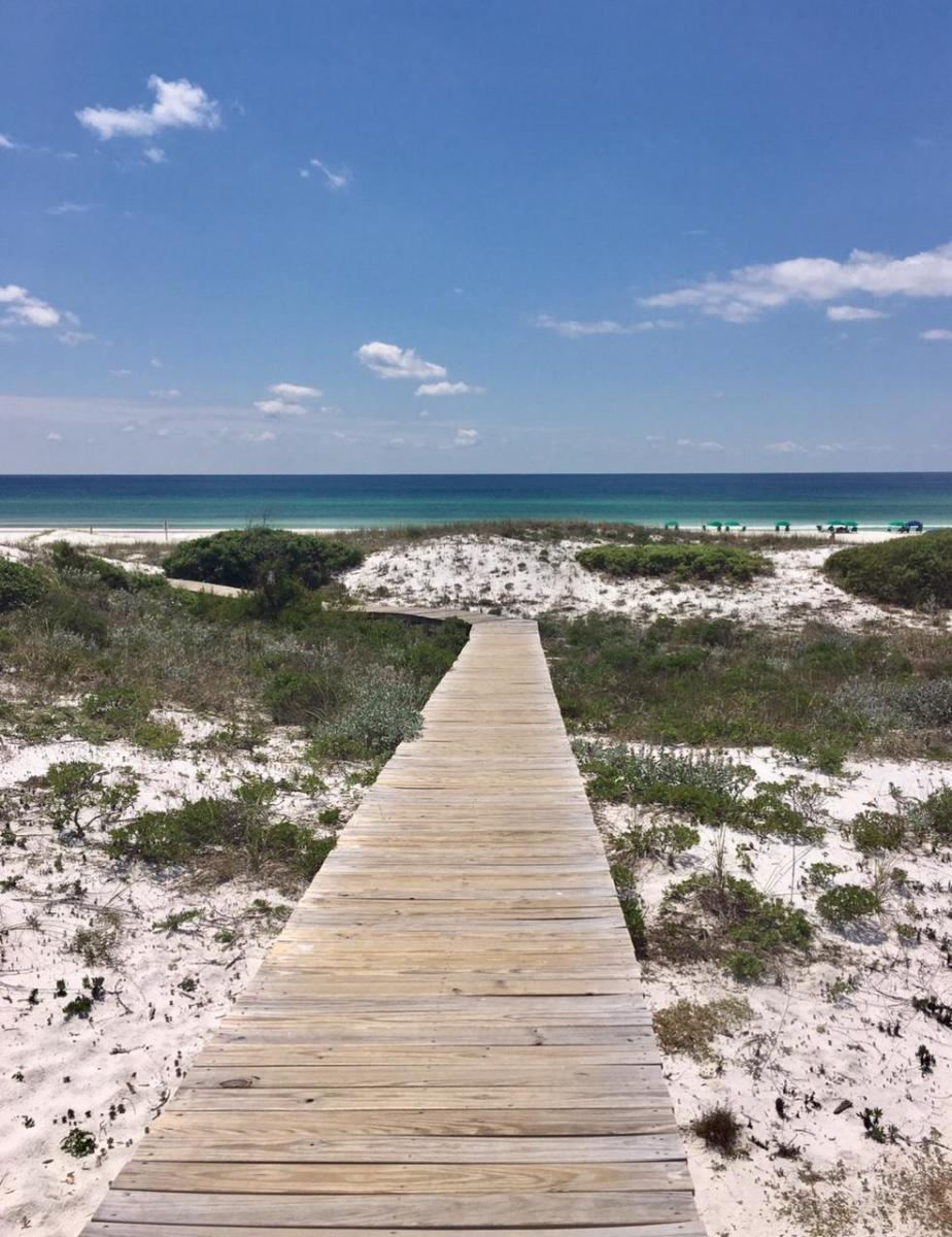426 Morgans Trail Santa Rosa Beach, FL 32459 - Photo 78 of 85 Additional view of boardwalk