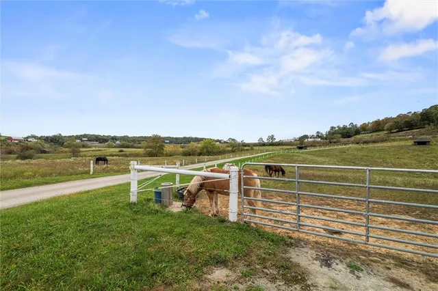 a view of an ocean with a mountain