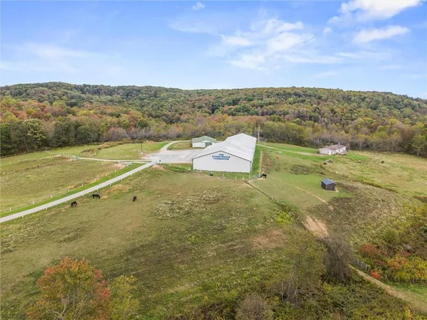 a black and white photo of a