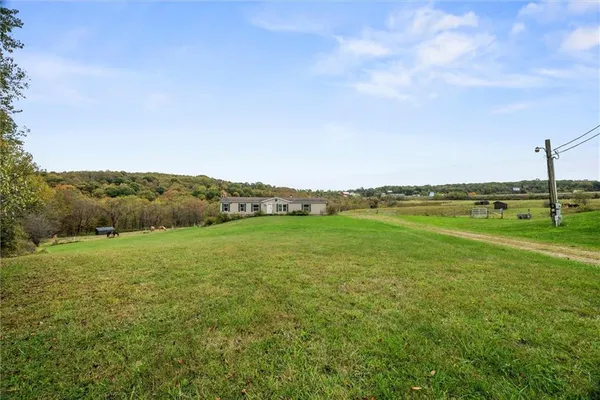 a view of a field with an ocean