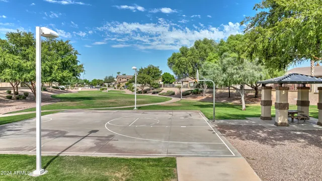a view of a park with large trees