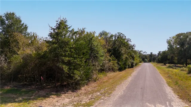 $100,000 | 14724 Bogota Drive, Iola, TX 77861