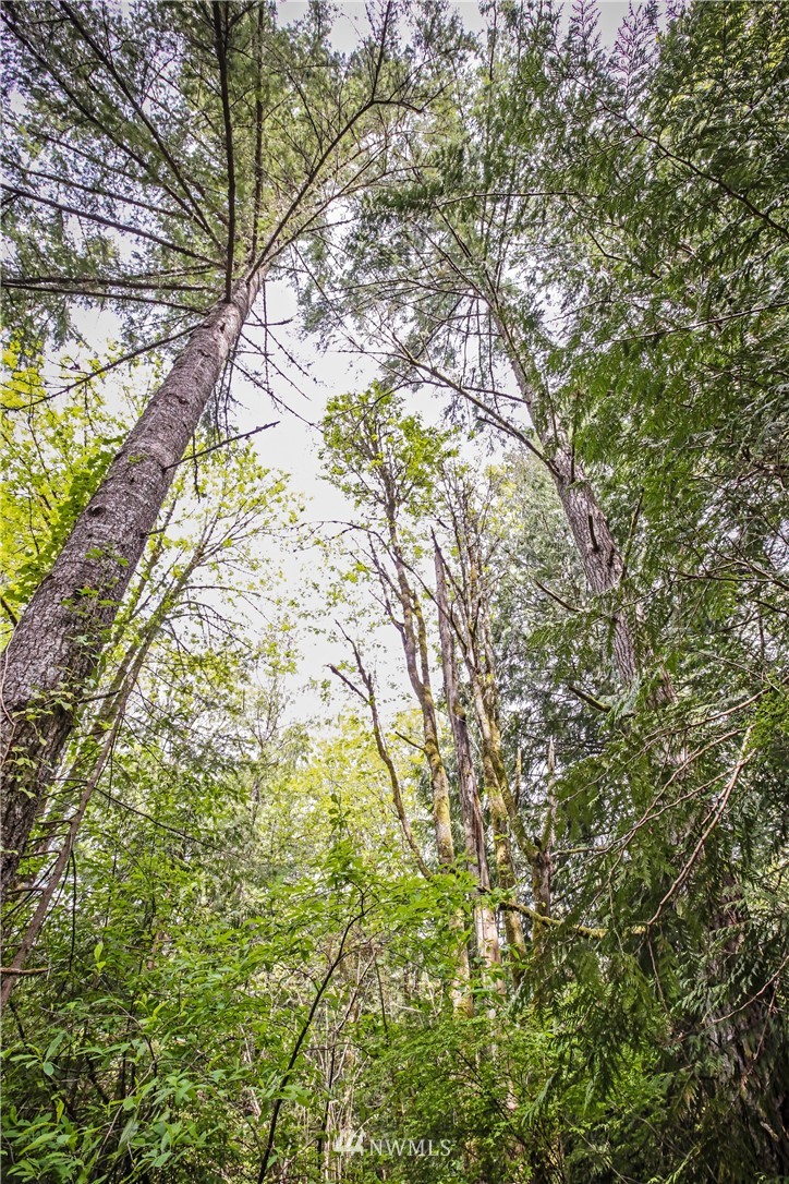 72 Fraser Road Southeast Port Orchard, WA 98367 - Photo 1 of 22 Gallery Image 1
