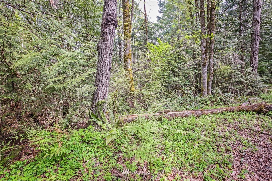 72 Fraser Road Southeast Port Orchard, WA 98367 - Photo 2 of 22 Gallery Image 2