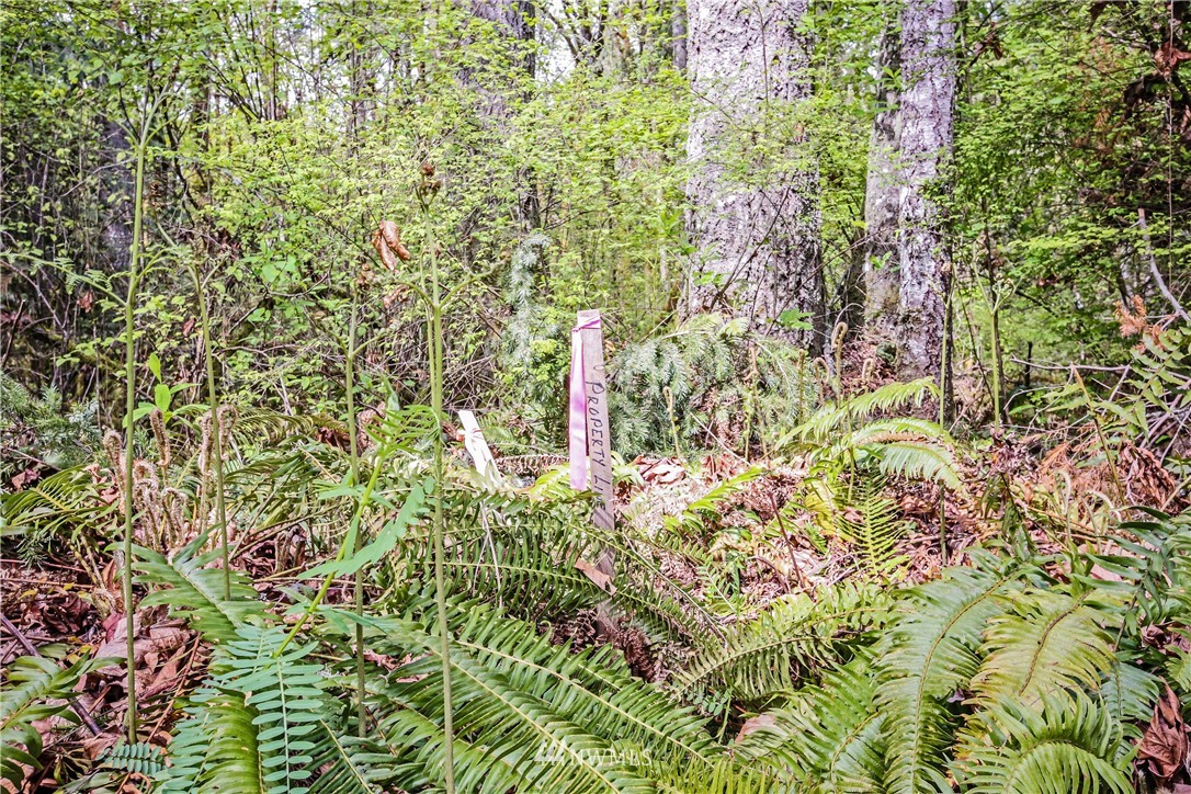 72 Fraser Road Southeast Port Orchard, WA 98367 - Photo 11 of 22 Gallery Image 11