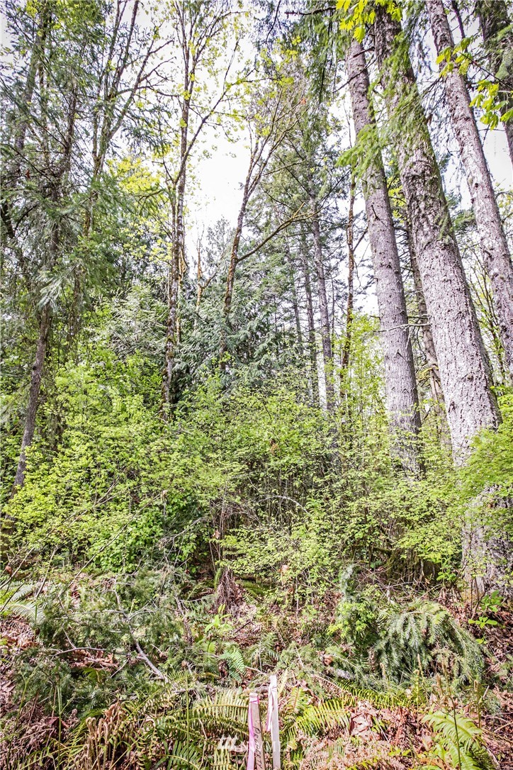 72 Fraser Road Southeast Port Orchard, WA 98367 - Photo 12 of 22 Gallery Image 12