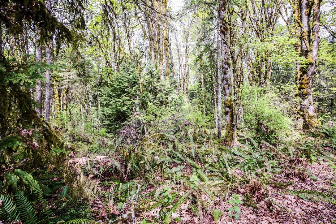 72 Fraser Road Southeast Port Orchard, WA 98367 - Photo 13 of 22 Gallery Image 13