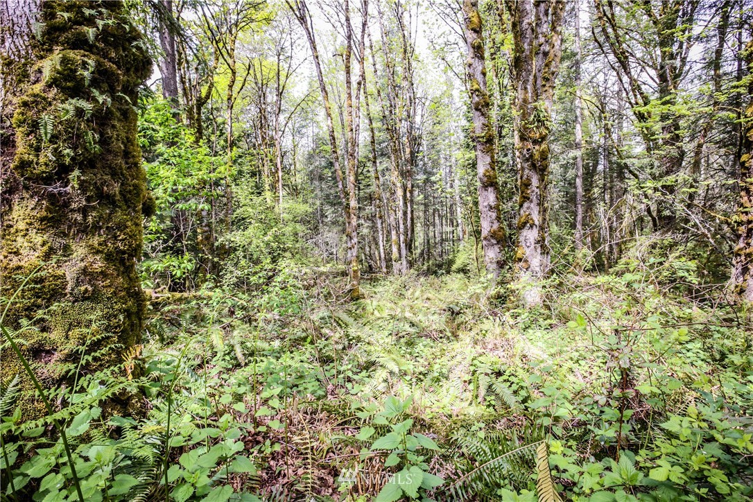 72 Fraser Road Southeast Port Orchard, WA 98367 - Photo 14 of 22 Gallery Image 14
