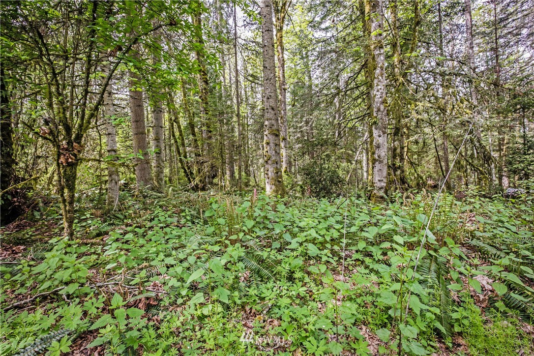 72 Fraser Road Southeast Port Orchard, WA 98367 - Photo 16 of 22 Gallery Image 16