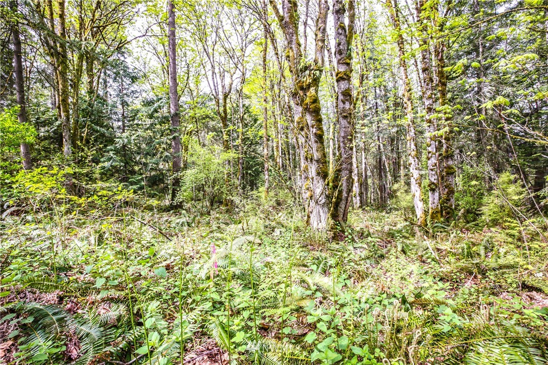 72 Fraser Road Southeast Port Orchard, WA 98367 - Photo 17 of 22 Gallery Image 17