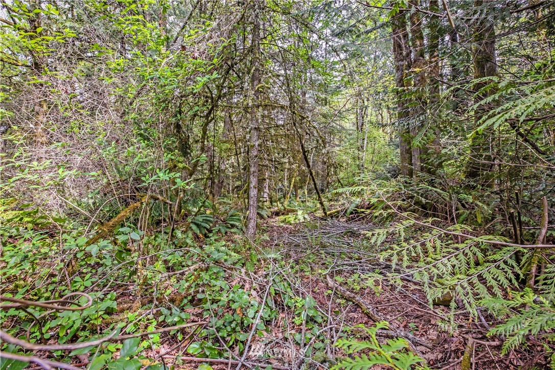 72 Fraser Road Southeast Port Orchard, WA 98367 - Photo 4 of 22 Gallery Image 4