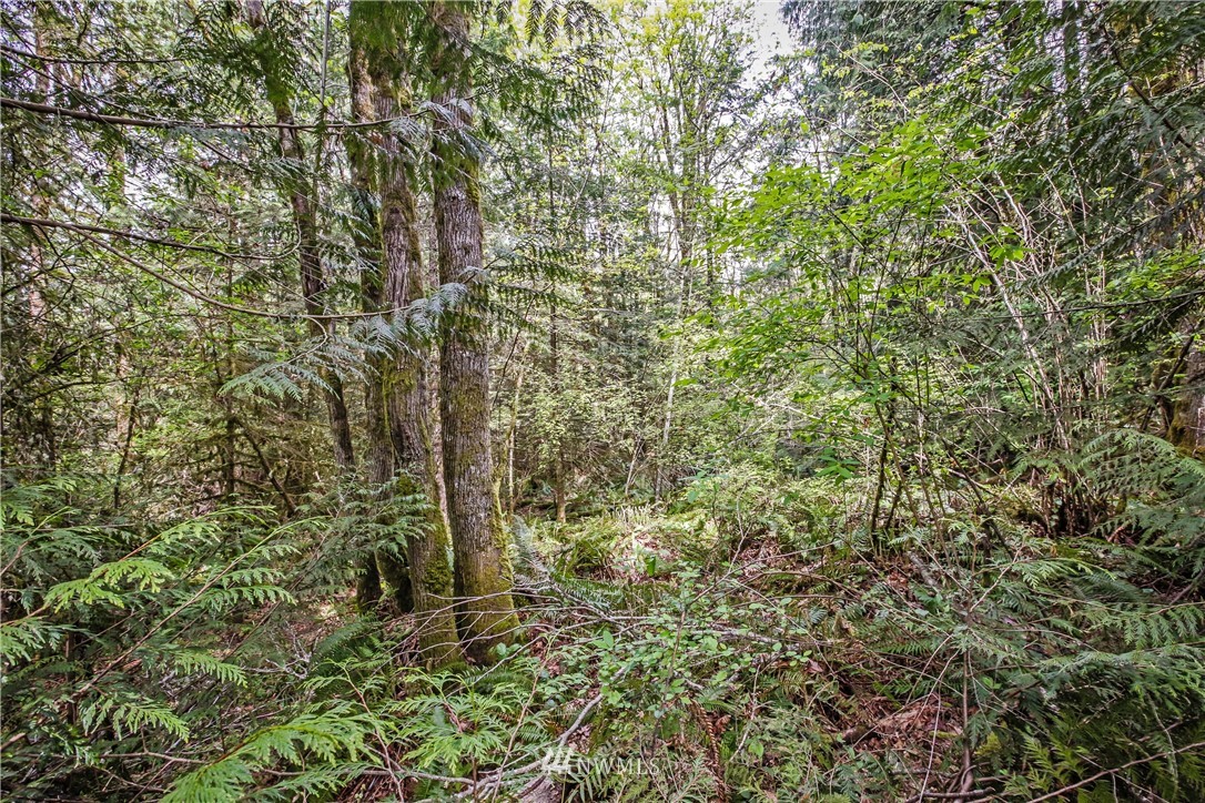 72 Fraser Road Southeast Port Orchard, WA 98367 - Photo 5 of 22 Gallery Image 5