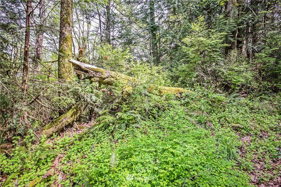 72 Fraser Road Southeast Port Orchard, WA 98367 - Photo 6 of 22 Gallery Image 6