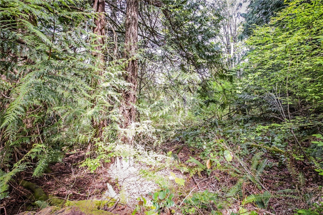 72 Fraser Road Southeast Port Orchard, WA 98367 - Photo 8 of 22 Gallery Image 8