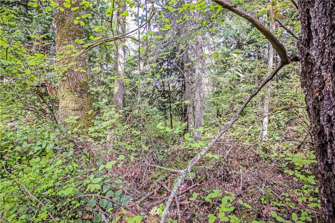 72 Fraser Road Southeast Port Orchard, WA 98367 - Photo 9 of 22 Gallery Image 9