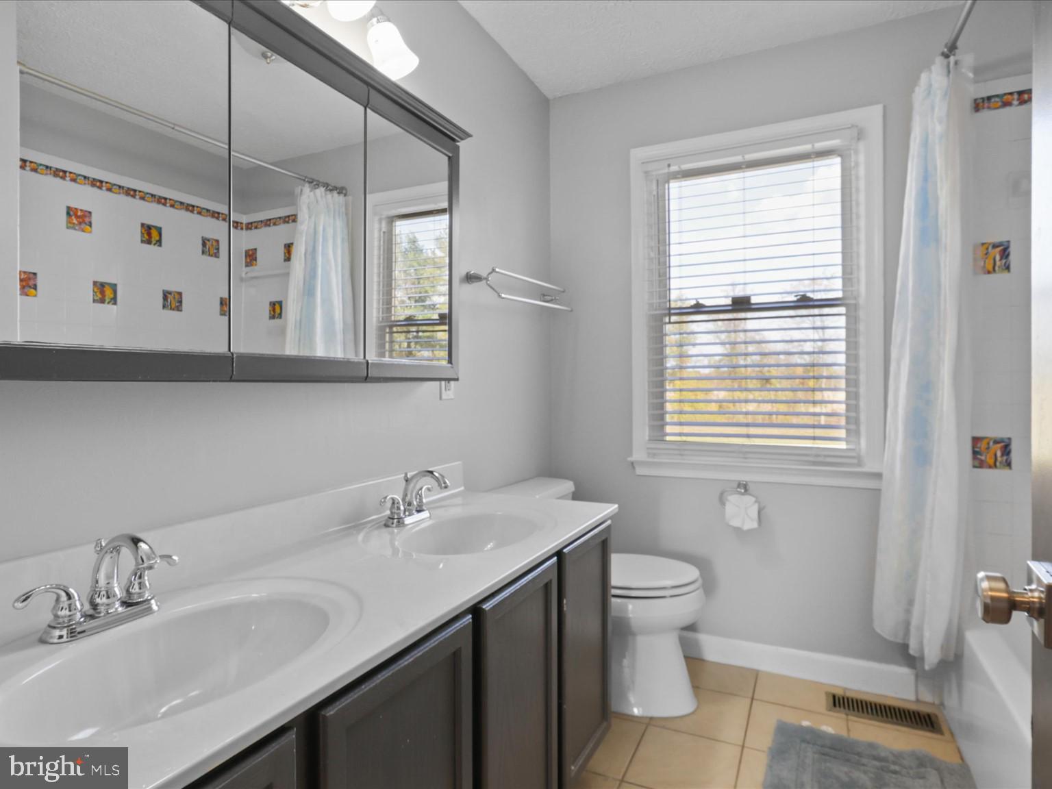 9419 Ramey Road Marshall, VA 20115 - Photo 28 of 35 a bathroom with double vanity sink a mirror and a shower