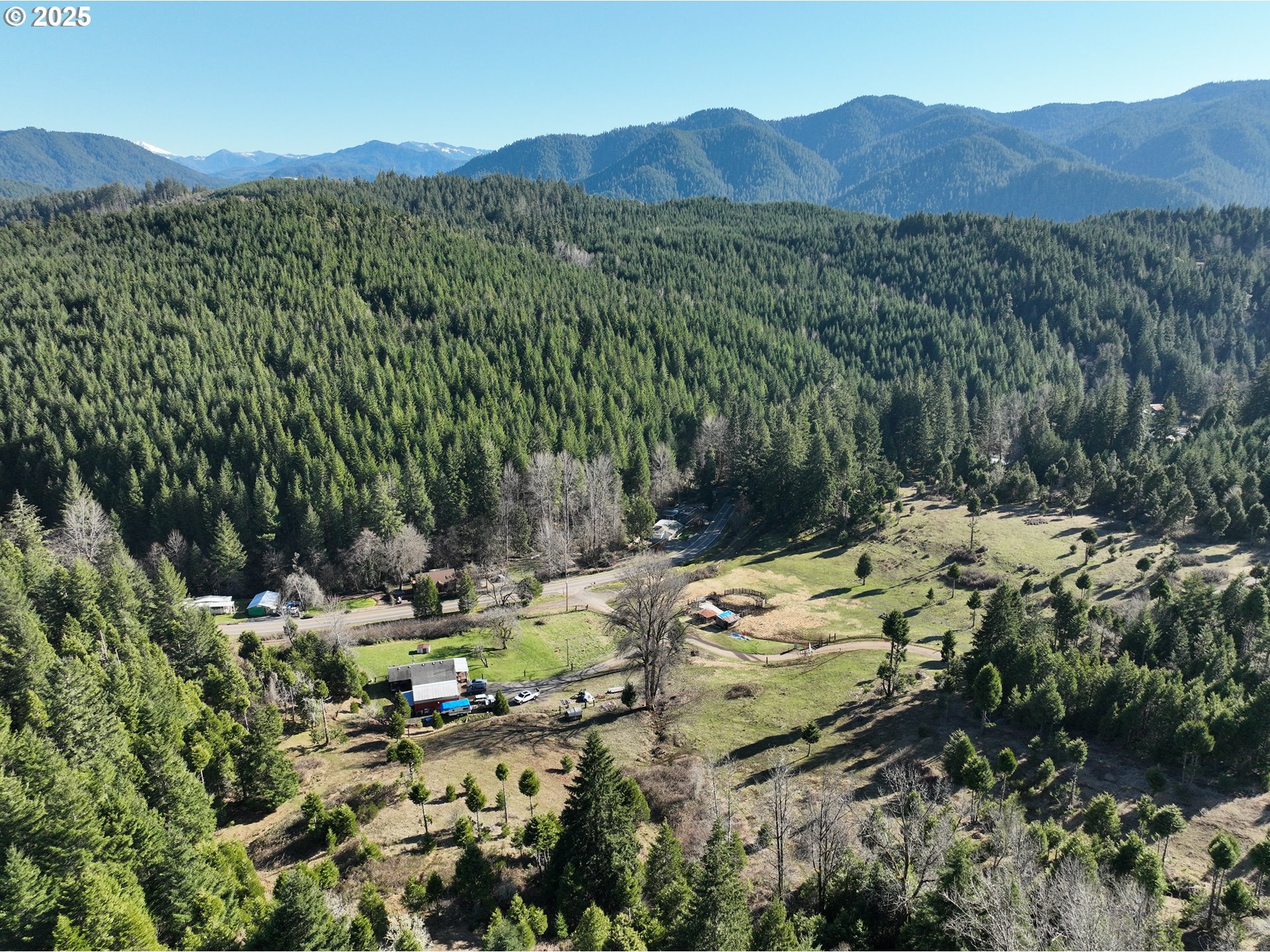 a view of a lush green hillside and houses