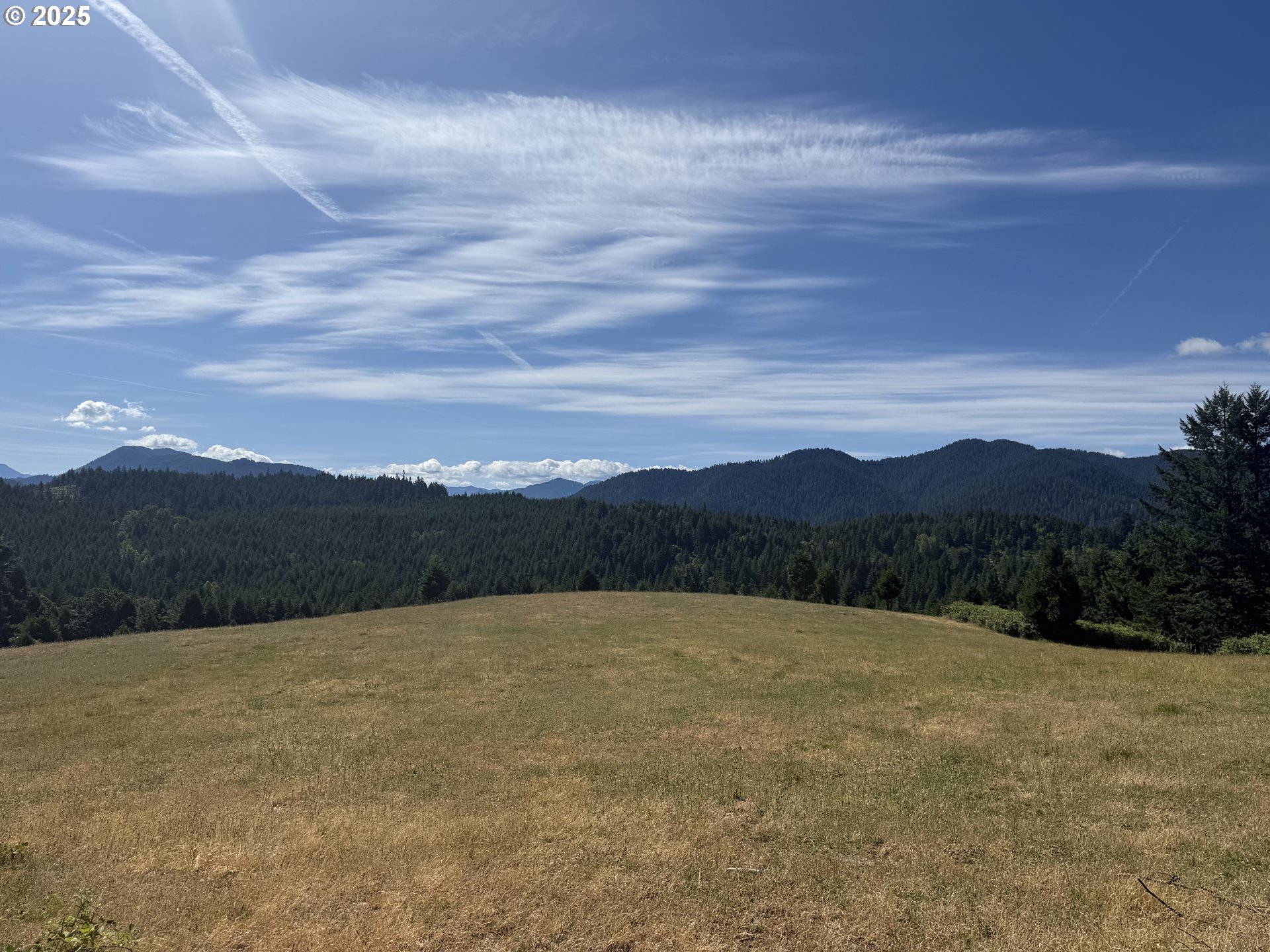 77220 Bar B L Ranch Road Oakridge, OR 97463 - Photo 21 of 24 a view of mountain with lake view