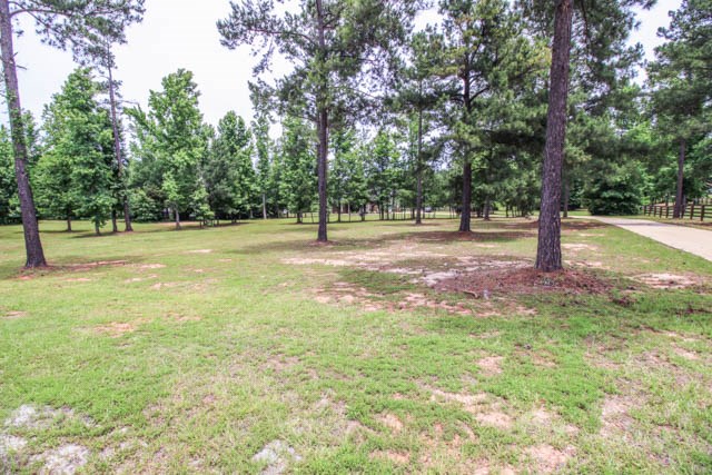 75 Old Mckee Road Waverly Hall, GA 31831 - Photo 5 of 36 Gallery Image 5