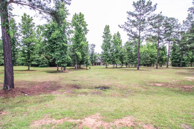 75 Old Mckee Road Waverly Hall, GA 31831 - Photo 6 of 36 Gallery Image 6