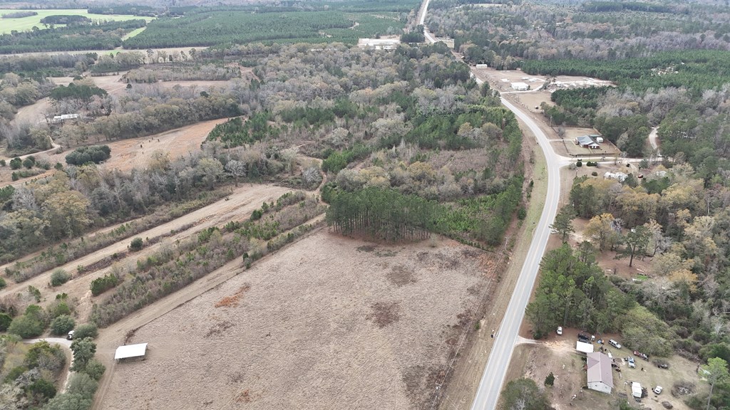 13962 Highway 95 Abbeville, AL 36310 - Photo 24 of 27