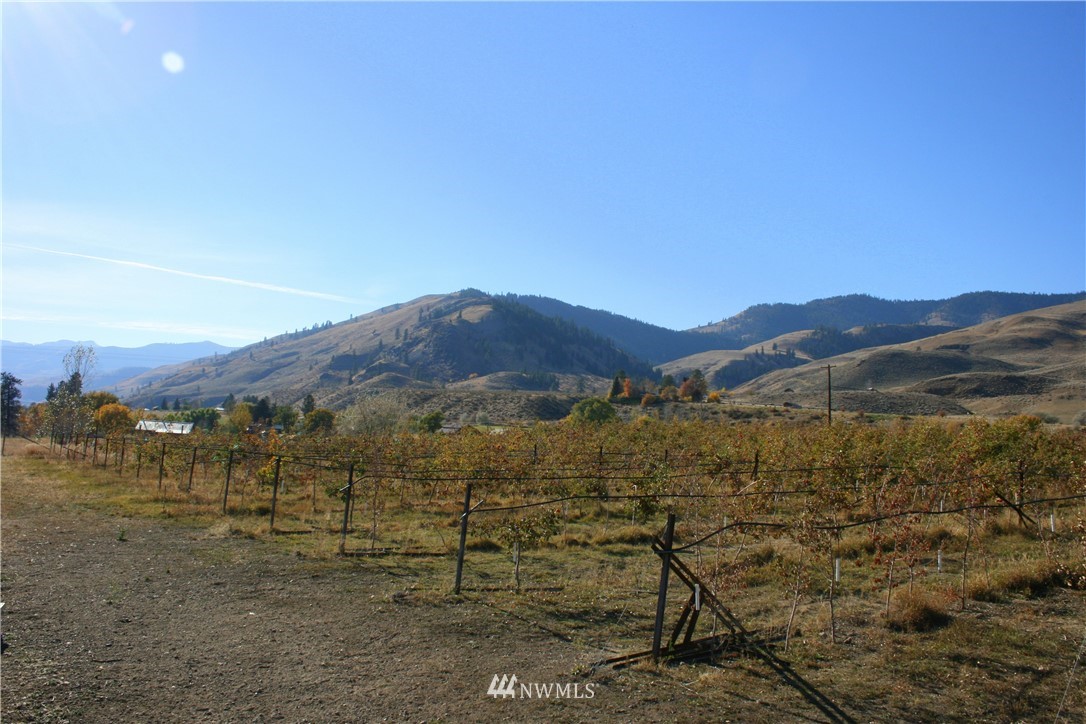 412 Twisp Carlton Road Carlton, WA 98814 - Photo 15 of 16 Gallery Image 15