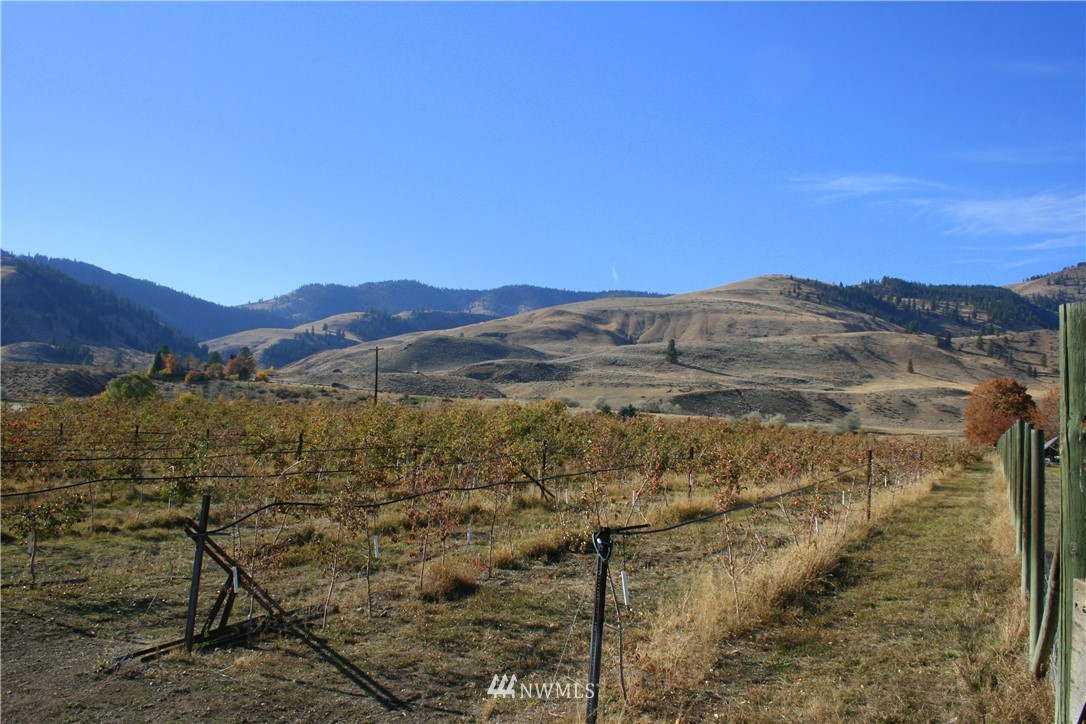 412 Twisp Carlton Road Carlton, WA 98814 - Photo 16 of 16 Gallery Image 16
