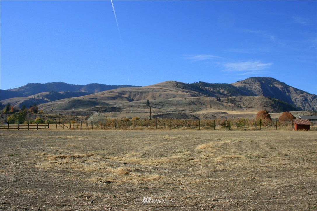 412 Twisp Carlton Road Carlton, WA 98814 - Photo 9 of 16 Gallery Image 9